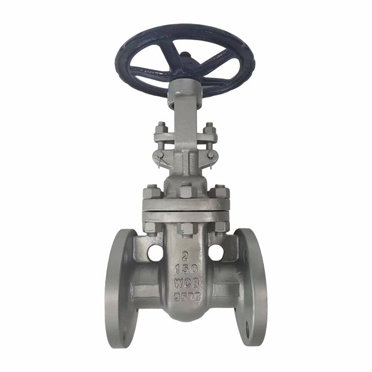 ANSI Stainless Steel Gate Valve factory