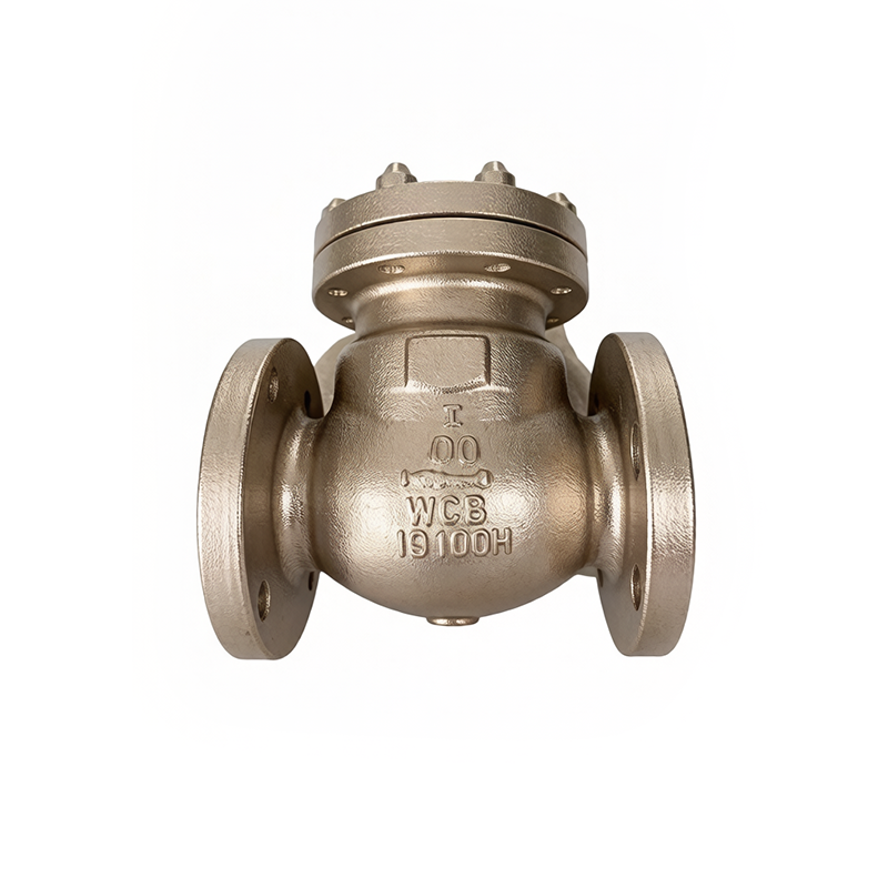 Válvula de retención de acero fundido