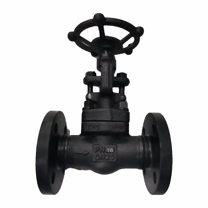 Válvula de compuerta forjada