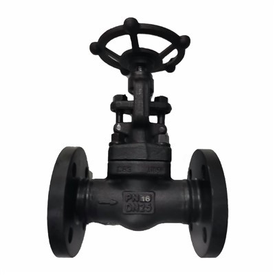 Válvula de compuerta forjada