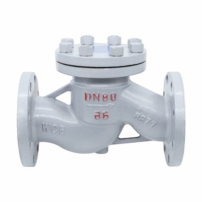 Evite la válvula de retención de elevación por reflujo